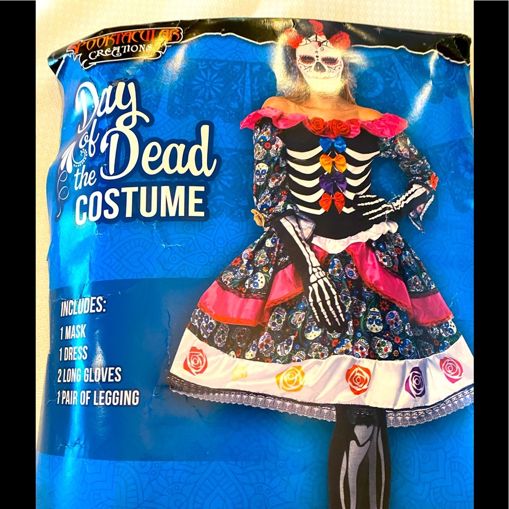Day of the Dead Costume